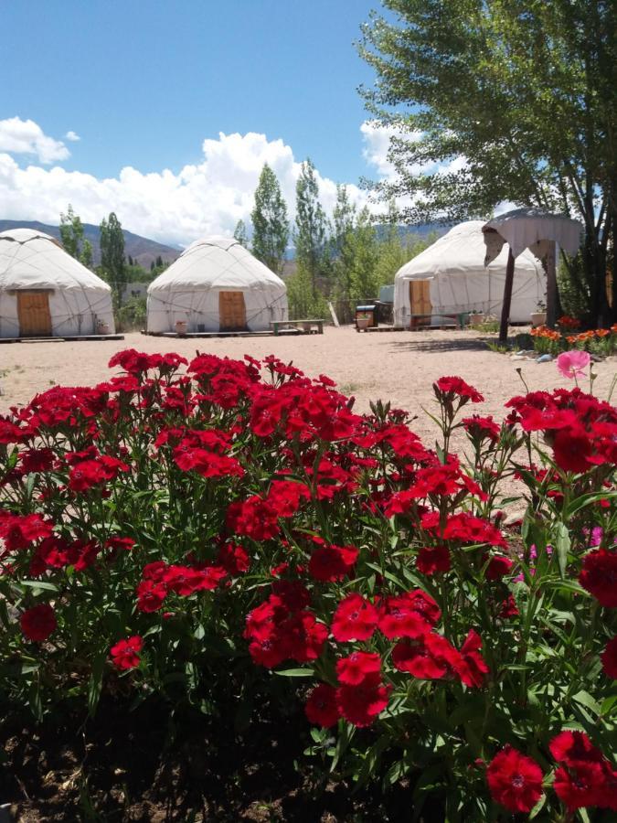 Yurt Camp Tosor Hotel Tossor Buitenkant foto