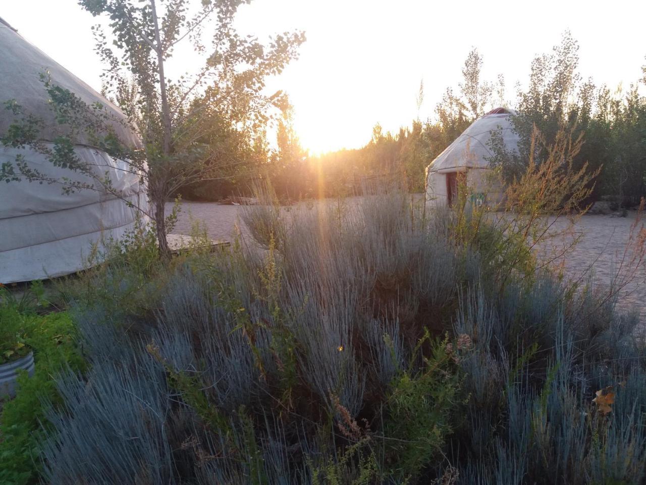 Yurt Camp Tosor Hotel Buitenkant foto